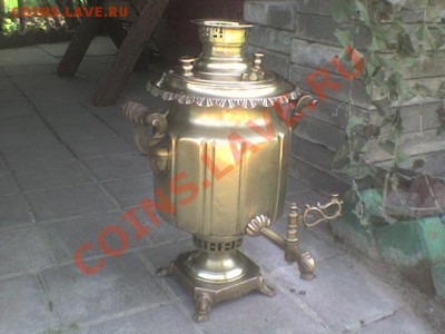 На опознание и оценку - DSC00250.JPG