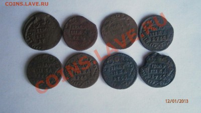 лот полушки 8 штук до 17.01.13 в 22.00 по Мск - P1120012.JPG