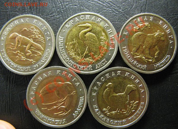КРАСНАЯ КНИГА 1993г старт 700р - кркн-25.JPG