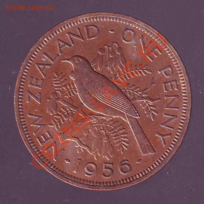 Новая Зеландия пенни. 1956. - новая зеландия пенни 1956 2.JPG