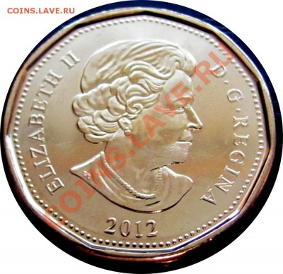 V32 Канада 1$ 2012 Lucky Loon UNC до 19.01 в 22°° - V32 2012 1$ Lucky Loonie _2