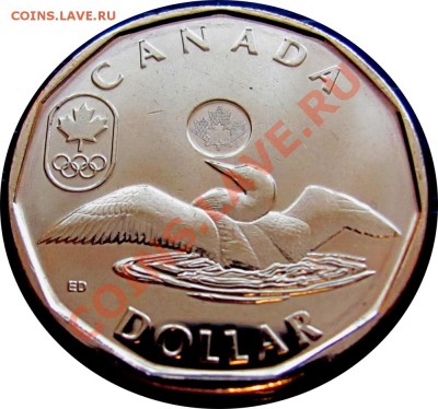 V32 Канада 1$ 2012 Lucky Loon UNC до 19.01 в 22°° - V32 2012 1$ Lucky Loonie _1