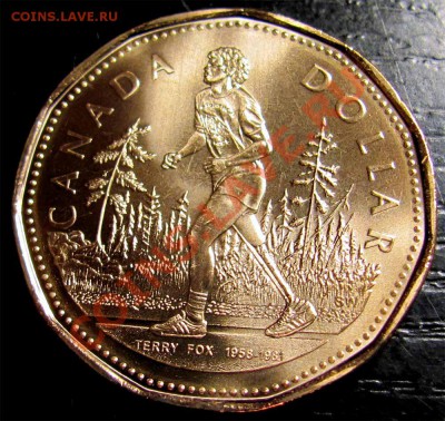 V33 Канада 1$ 2005 Terry Fox UNC до 19.01 в 22°° - U03 1$ 2005 Terry Fox_1