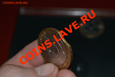 Калмыкия 2009 спмд выкус до 16.01.13 - DSC_0141.GIF