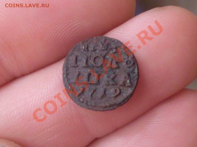 Полушки 1719, 1720, 1721 годов - SDC11095.JPG