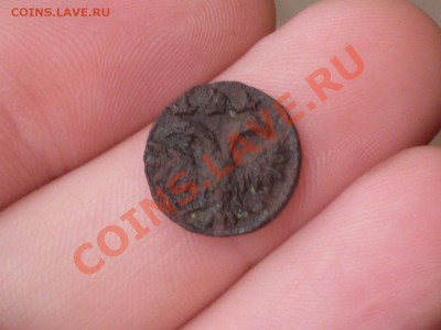 Полушки 1719, 1720, 1721 годов - SDC11108.JPG