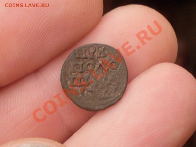 Полушки 1719, 1720, 1721 годов - SDC11099.JPG