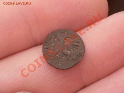 Полушки 1719, 1720, 1721 годов - SDC11100.JPG
