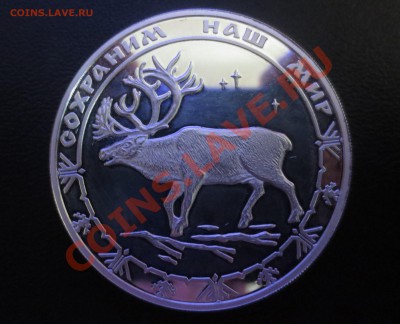 3 рубля 2004. Северный олень. Сохраним наш мир. Оценка - IMG_0538.JPG