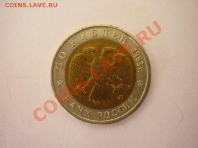 КК.1993г. "Черноморская Афалина" до 22.00мск 14.01.13 - P1170600.JPG