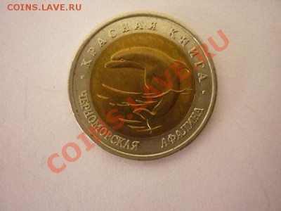 КК.1993г. "Черноморская Афалина" до 22.00мск 14.01.13 - P1170599.JPG