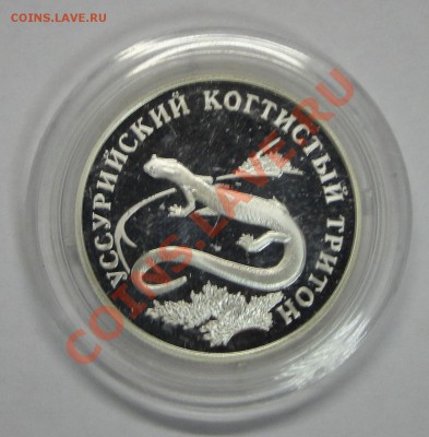 капсула в царапинах - DSC01944.JPG