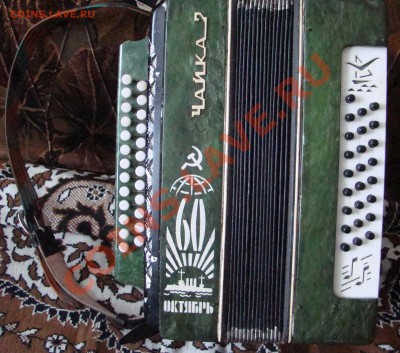 ГАРМОНЬ ЧАЙКА-60 лет Октября до 20.01.2013г 21-00 - DSC02168.JPG