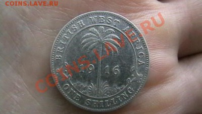 Западная Африка - 1 шиллинг. 1916. Не частая. - IMGA0854.JPG