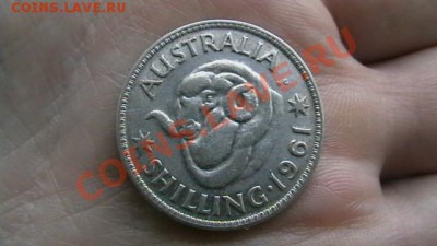 Австралия - 1 шиллинг. 1961. - IMGA0864.JPG