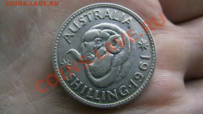 Австралия - 1 шиллинг. 1961. - IMGA0865.JPG