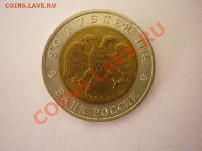 КК.1994г. ФЛАМИНГО, до22.00мск 15.01.2013 - P1170598.JPG