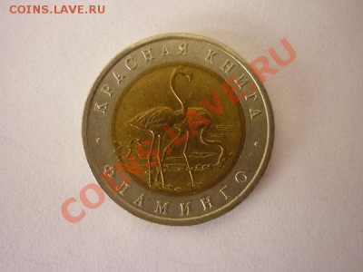 КК.1994г. ФЛАМИНГО, до22.00мск 15.01.2013 - P1170597.JPG