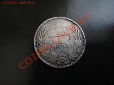 Австро-Венгрия, 1 крона (korona) 1895 год - DSC02133.JPG