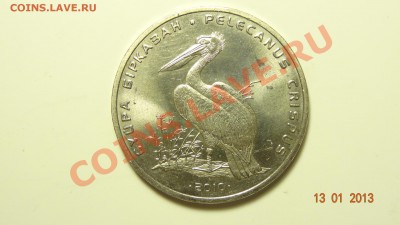 Казахстан 50 тенге 2010 Пеликан до 17.01. в 22:00 - DSC01459.JPG