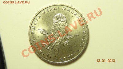 Казахстан 50 тенге 2011 Ястребиная сова до 17.01. в 22:00 - DSC01457.JPG