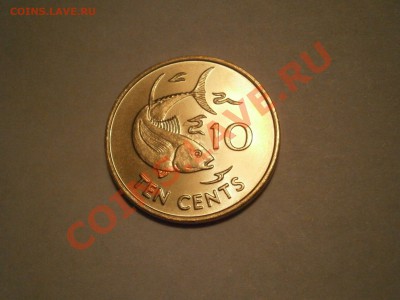 Сейшелы 10 центов. 2007г.до 22.01.13 в 22-00 мск - P1160712.JPG