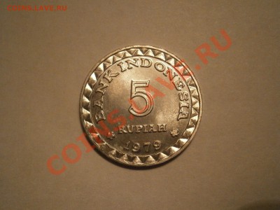 Индонезия 5 рупий.1979г.до 22.01.13 в 22-00 мск - P1160716.JPG