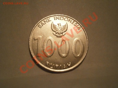Индонезия 1000 рупий.2010г. до 22.01.13 в 22-00 мск - P1160721.JPG