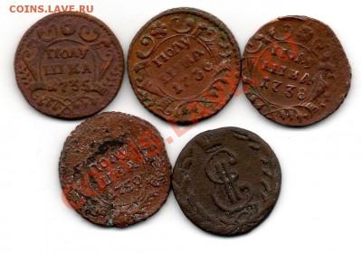 Полушки 1735,1736,1738,1750 деньга 1773 км - img678