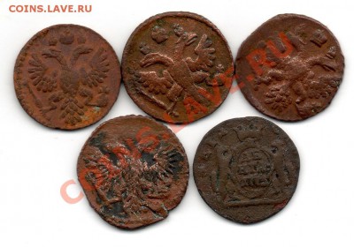 Полушки 1735,1736,1738,1750 деньга 1773 км - img679