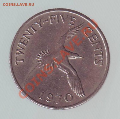 БЕРМУДЫ.25 ЦЕНТОВ.1970. до 23.01.13 в 22.00мск - бермуды 25 центов 19700001.JPG