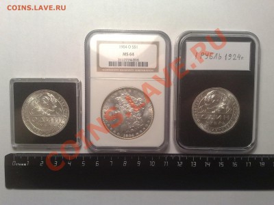 Капсулы Leuchtturm Everslab - 17012013399