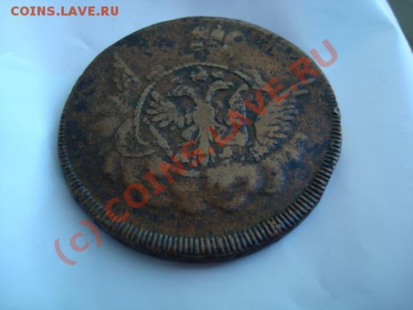 Б мондвора гурт сетка Биткин R3 ПЕТРОВ 75 р - DSC04781.JPG