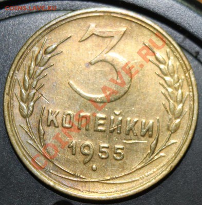 3к55г до 24.01.13. до 23-00мск - 3-55р