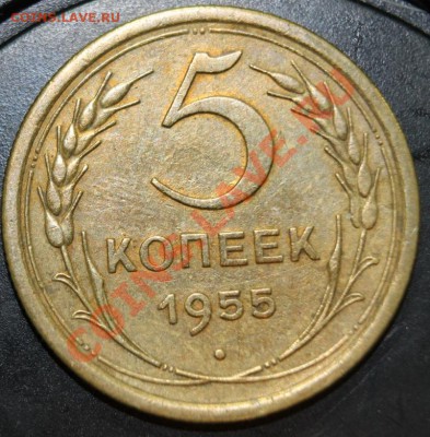 5к55г до 24.01.13. до 23-00мск - 5-55р1