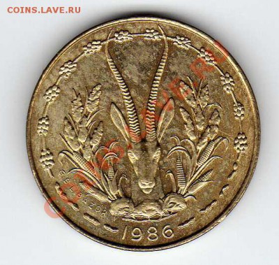 ЗАП.-АФР.ГОС-ВА 5 ФРАНКОВ 1986 ГАЗЕЛЬ 24.01.13 В 22Ч (3893) - img201