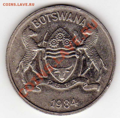 БОТСВАНА 25 ТХЕБЕ 1984 ЗЕБУ ДО 24.01.13 В 22.00МСК (3893) - img208