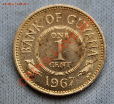 GUYANA 1c 1967г. ПТИЧКИ до 24.01.13г. в 22-00 - IMG_4545.JPG