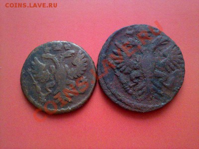 полушка и деньга 1731!! до 20.01.13 в 22:00 - 180120133862