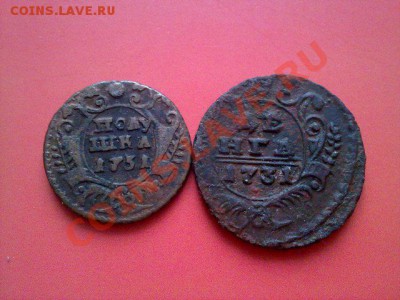 полушка и деньга 1731!! до 20.01.13 в 22:00 - 180120133861