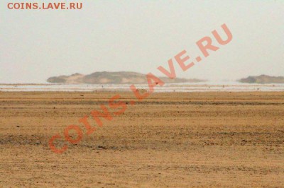 Музыкальный конкурс на разгадывание ребусов! - 1 (17)
