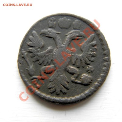 полушка 1734г.(гурт узор, перечекан) до 22.01.13. в 22.00 мв - P1160023.1