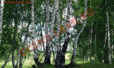 Музыкальный конкурс на разгадывание ребусов! - 1