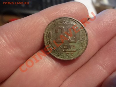 20 Копеек 1955г Шт 3коп? - DSC01857.JPG