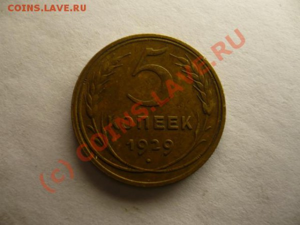 5 копеек 1929г - P1070145.JPG