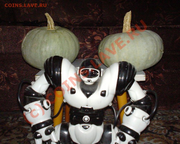 Хеллоуин !!! - DSC02268.JPG