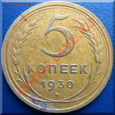 1 копейка 1945г. ости на зернах - DSC03199(1)