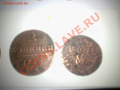 на фото она справа... качество фото не ах((( - 20012013108