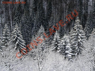 Музыкальный конкурс на разгадывание ребусов! - wallpapers_19754_800x600