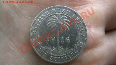 Британская Западная Африка. 1 шиллинг. до 25.01.13. - IMGA0855.JPG